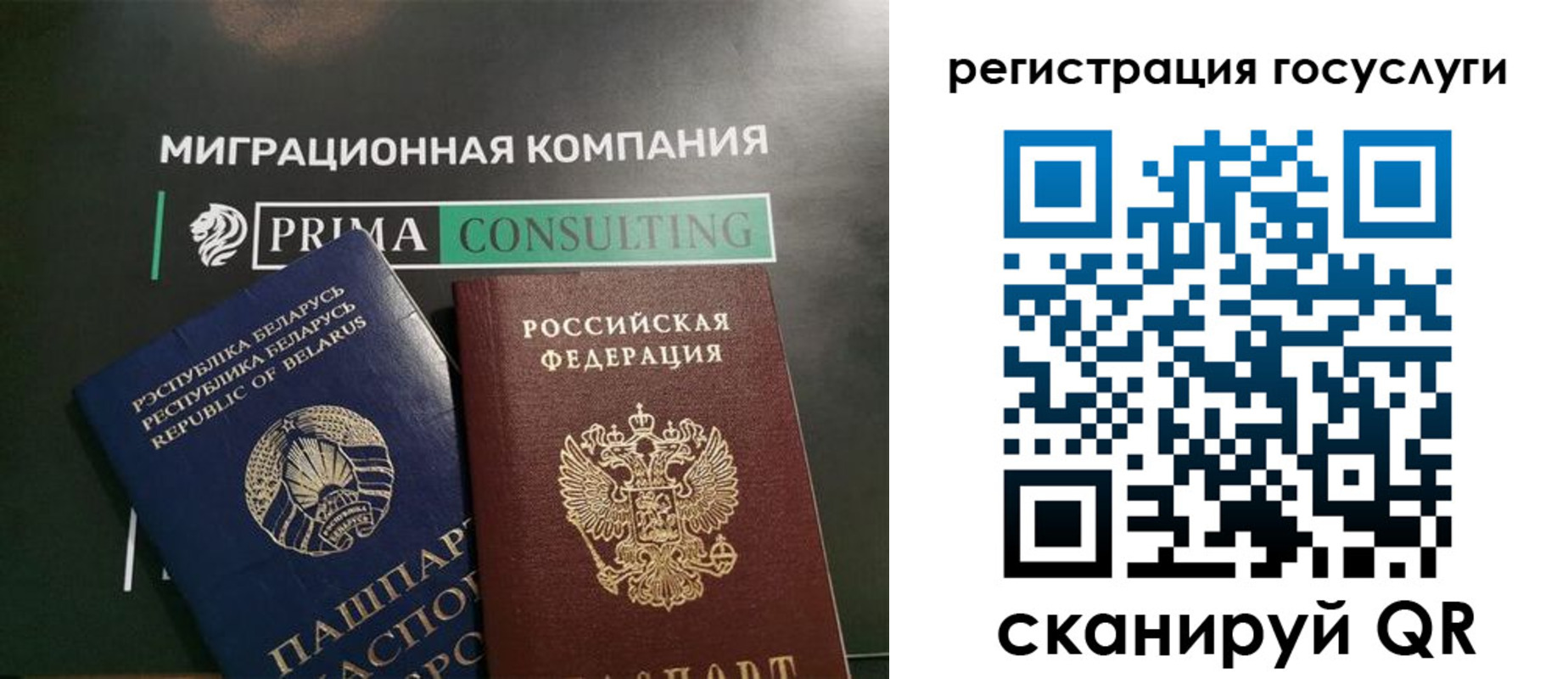 прописка гарантия в Курской области
